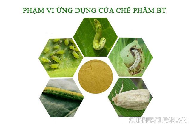 Sử dụng Bt.  chuẩn bị