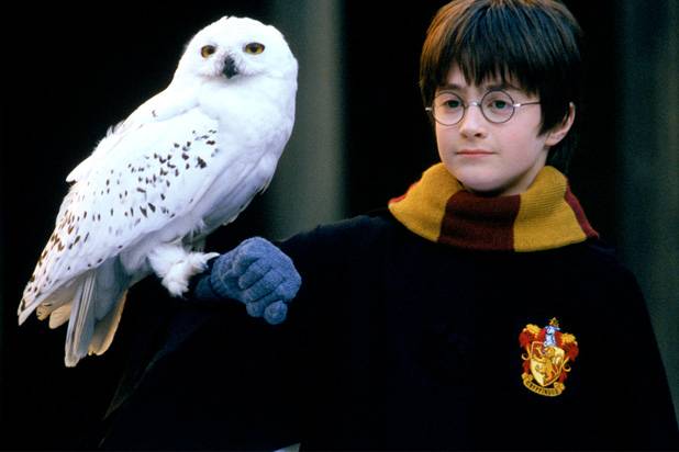 Harry Potter và hòn đá phù thủy.  (thông qua TheWrap)