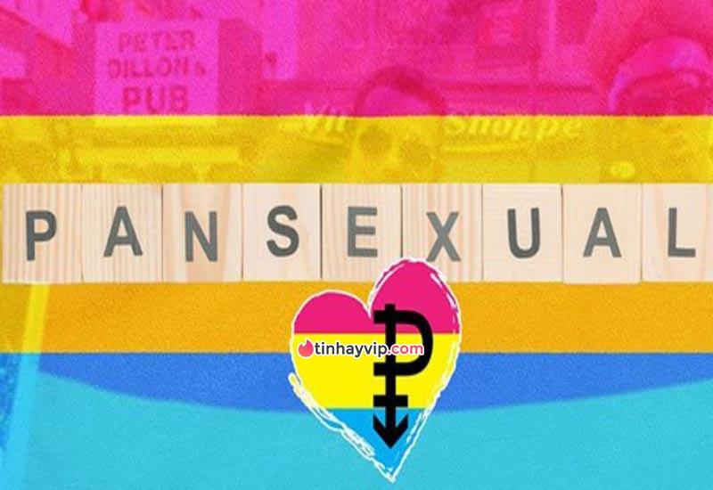 pansexual là gì?