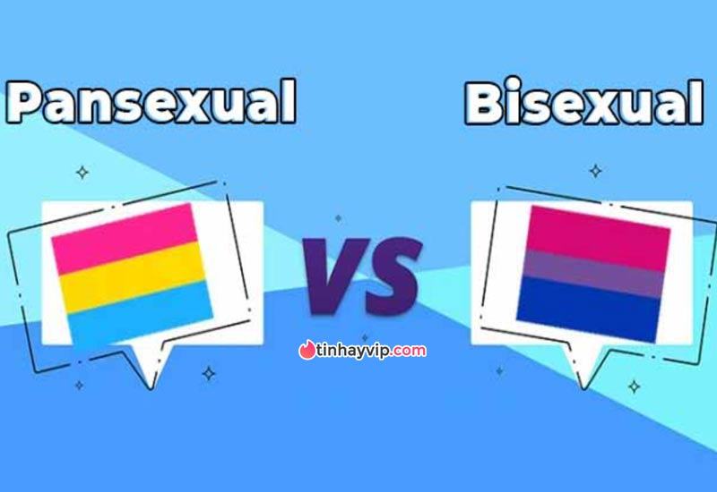 Song tính rất khác với Pansexual