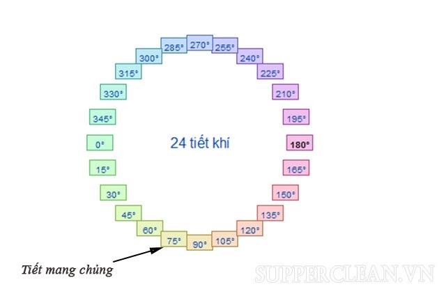 Mang Chủng là gì? Nguồn gốc và ý nghĩa của từ “Mang Chủng”