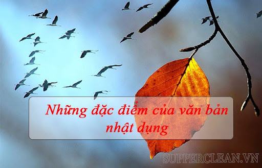 văn bản nhật bản