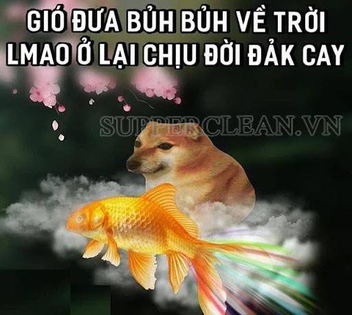 cười vỡ bụng