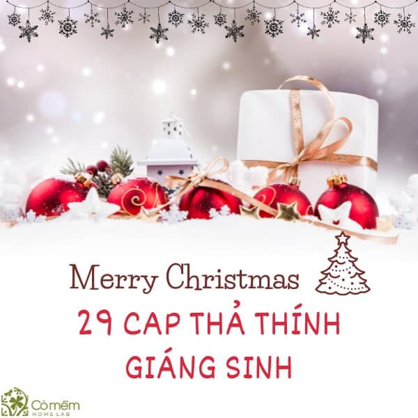 cap thả thính giáng sinh