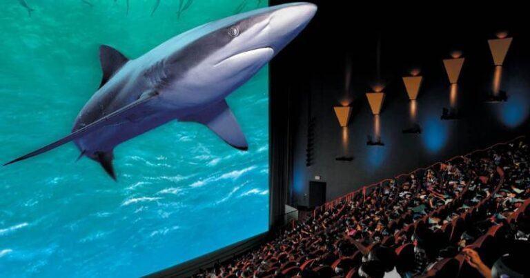 Từ 2D đến IMAX 3D, trải nghiệm xem phim tại rạp năm 2022 có gì mới?