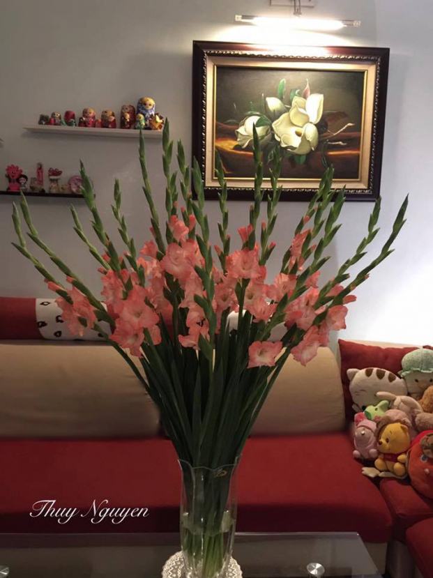 Ba cách cắm hoa lay ơn trên bàn ngày Tết đẹp ai vào nhà cũng phải khen nức nở 8