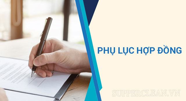 phụ lục hợp đồng