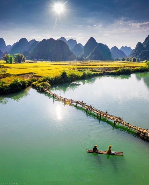 Một bức tranh rất đẹp về Việt Nam