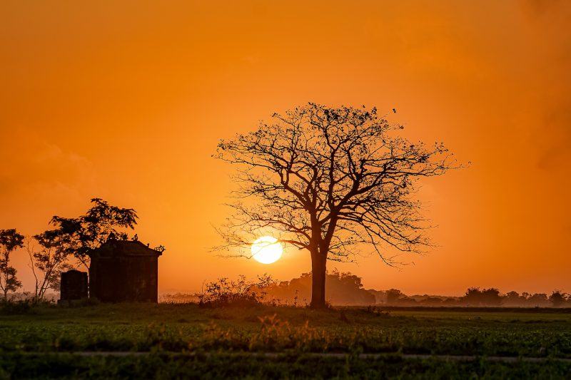 Hình ảnh quê hương trong nắng chiều đỏ au