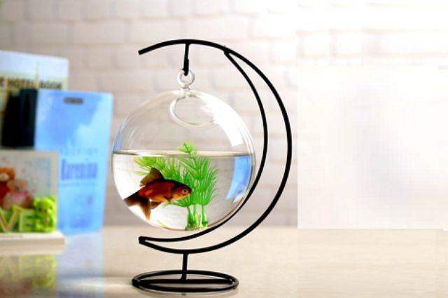 desktop mini fish tank