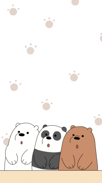Hình nền gấu trắng, panda, gấu nâu cực đẹp