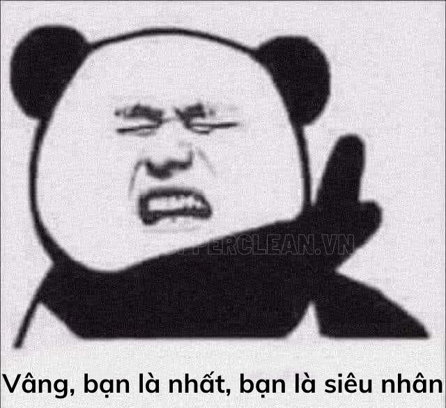 bạn là nhất