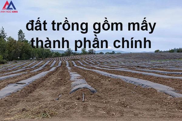 Đất canh tác là gì?  Các thành phần chính của trái đất là gì?