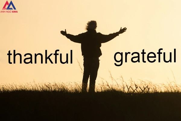 Lòng biết ơn là gì?  Lòng biết ơn là gì?  Phân biệt giữa lòng biết ơn và sự đánh giá cao