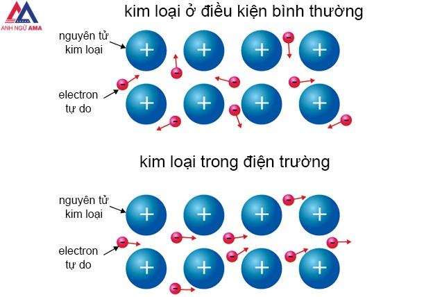 Chất mang kim loại là gì?  Electron là gì?