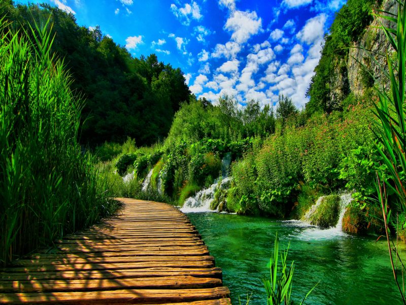 Thiên nhiên là bức tranh về con đường và dòng sông xanh tươi