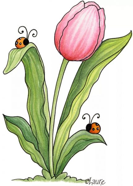 vẽ hoa và côn trùng