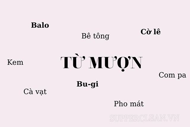 Khái niệm từ mượn là gì? Các loại từ mượn | Ví dụ về từ mượn