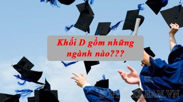 Khối d bao gồm những ngành nào?