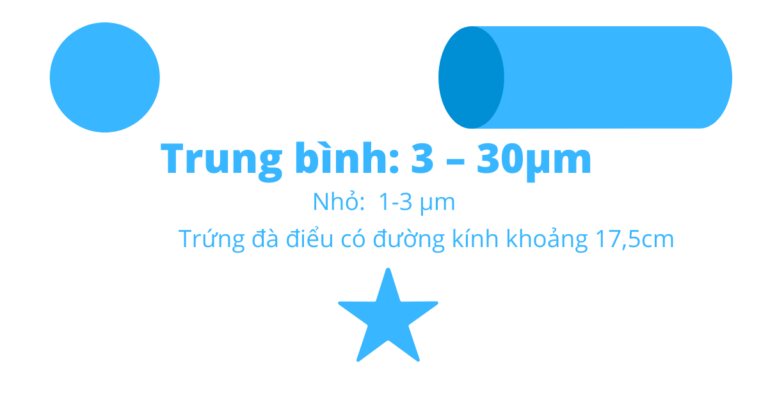 Kích Thước của Tế Bào