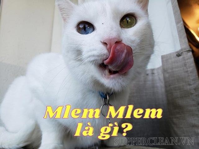 mlem là gì?