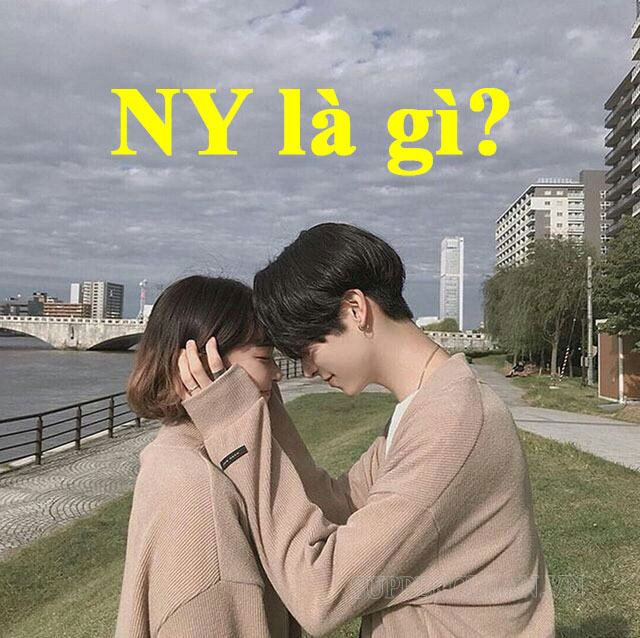 ny là gì?