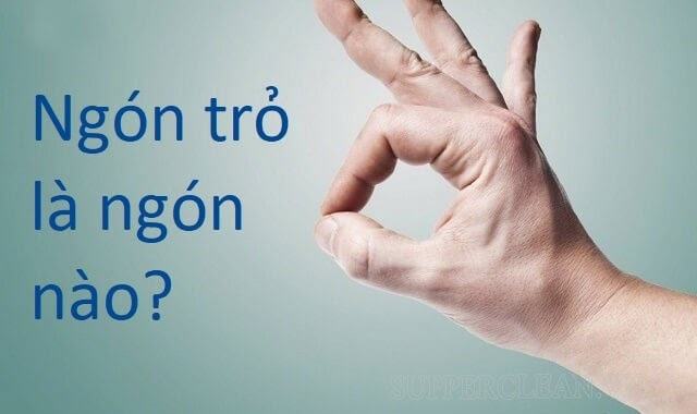 ngón trỏ là gì?