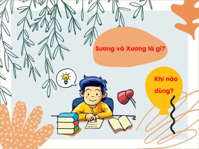 Sương và Xương là gì? Khi nào dùng là hợp lý?