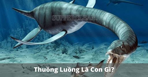 Bọ cạp là gì?