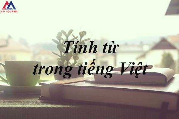 Tính từ là gì?  Nhóm tính từ trong tiếng Việt