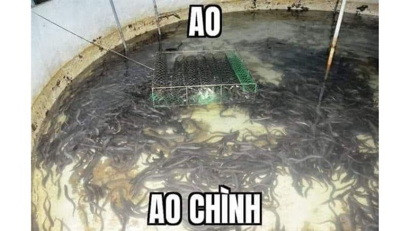 Meme ao lươn đang làm dậy sóng cộng đồng game thủ Việt