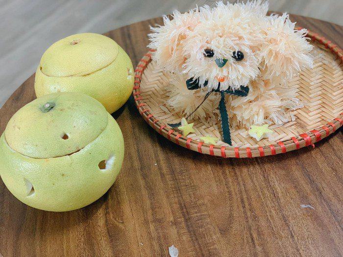 Aach is a ten-year-old pomelo dog, one owner for a baby in the Mid-Autumn Festival - 10