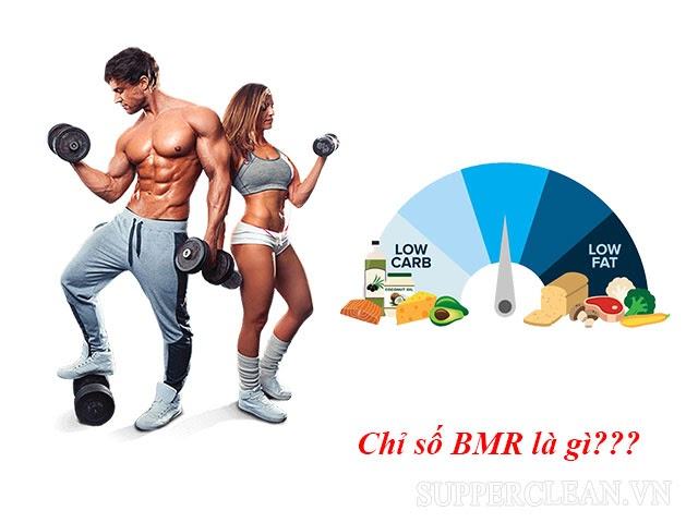 Chỉ số bmi, BMR là gì?