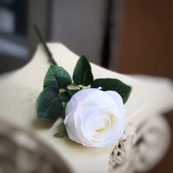 hình ảnh buồn hoa trắng đám tang