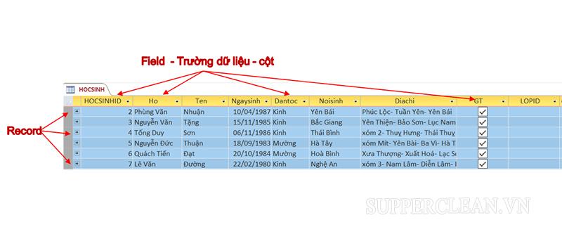 Tên trường là thành phần dữ liệu của trường trong bảng