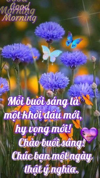 Hình ảnh chào buổi sáng đầu tuần