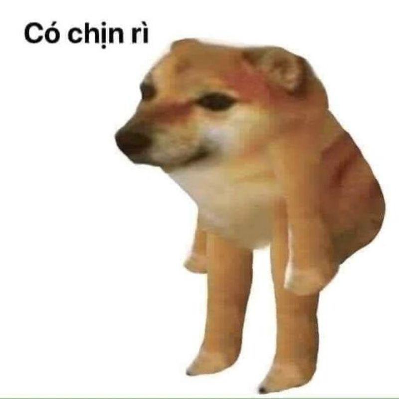 meme làm cho bạn shiba