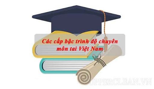 Trình độ chuyên môn của anh ấy là gì?