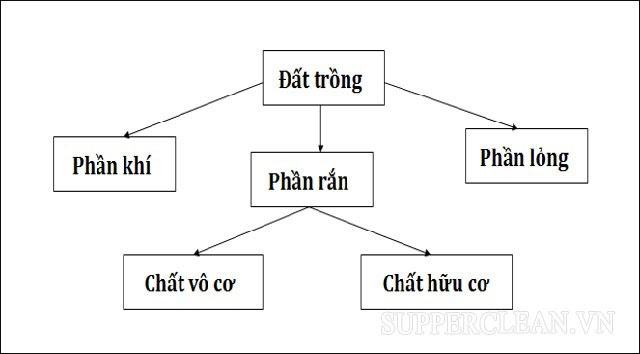 lĩnh vực là gì?