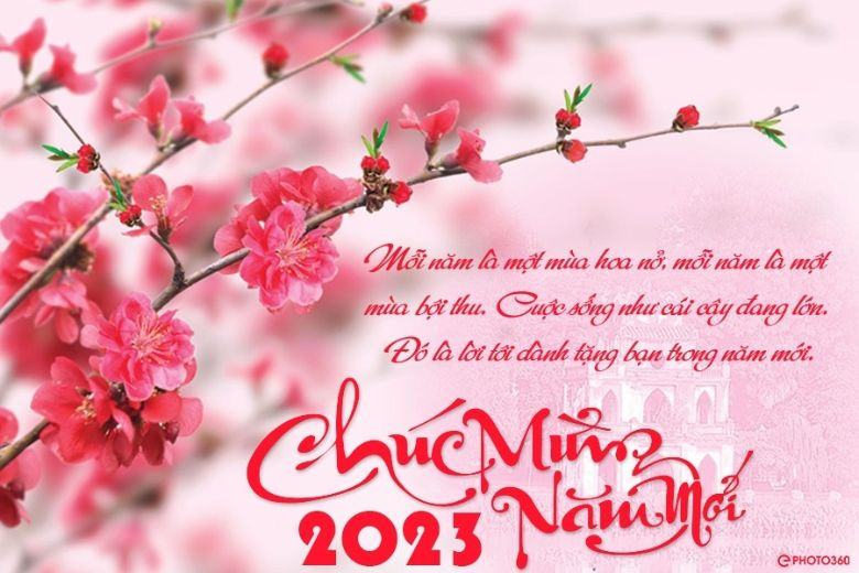 Chúc mừng năm mới 2023