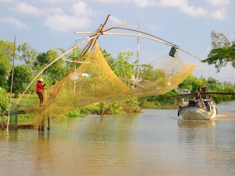 Hình ảnh Tây tràn lan trên mạng