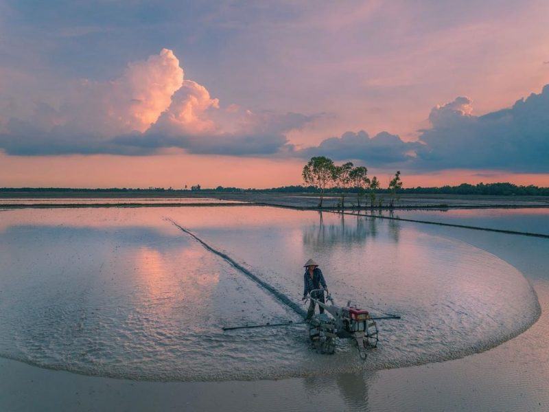 Ở phía tây