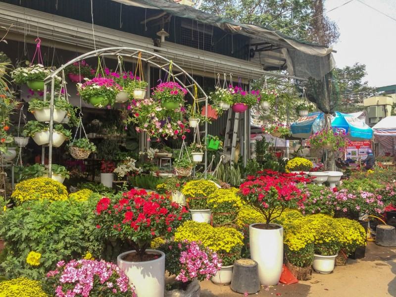 5 quán hoa đào đẹp ở Hà Nội không thể bỏ qua - Ảnh 3.