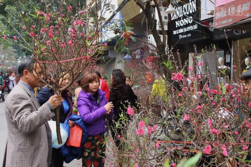 5 quán hoa đào đẹp ở Hà Nội không thể bỏ qua - Ảnh 6.