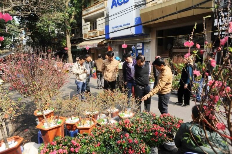 5 quán hoa đào đẹp ở Hà Nội không thể bỏ qua - Ảnh 4.