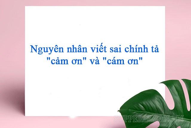 cảm ơn bạn hoặc cảm ơn bạn