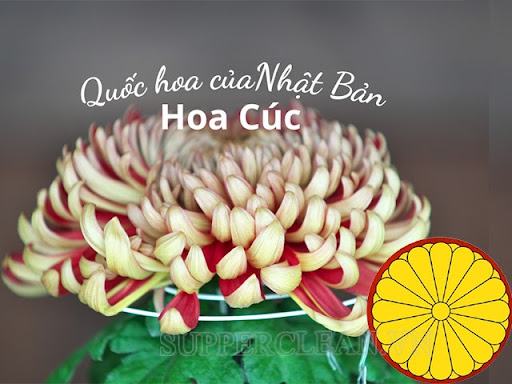 quốc hoa của các nước