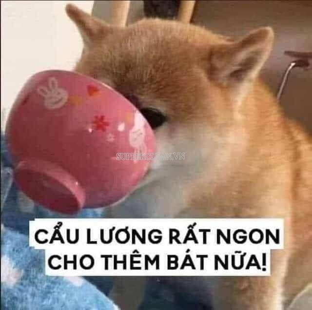 nhưng như thế