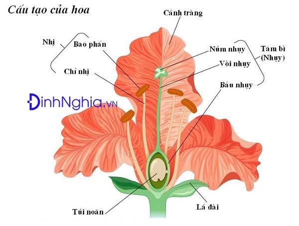 Các đặc điểm của việc nuôi dạy con cái là gì?