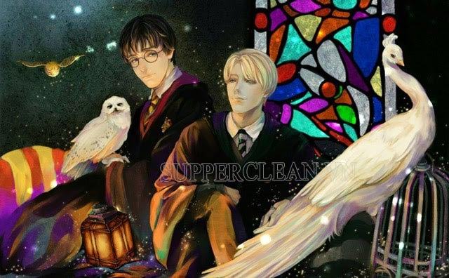 Harry Potter